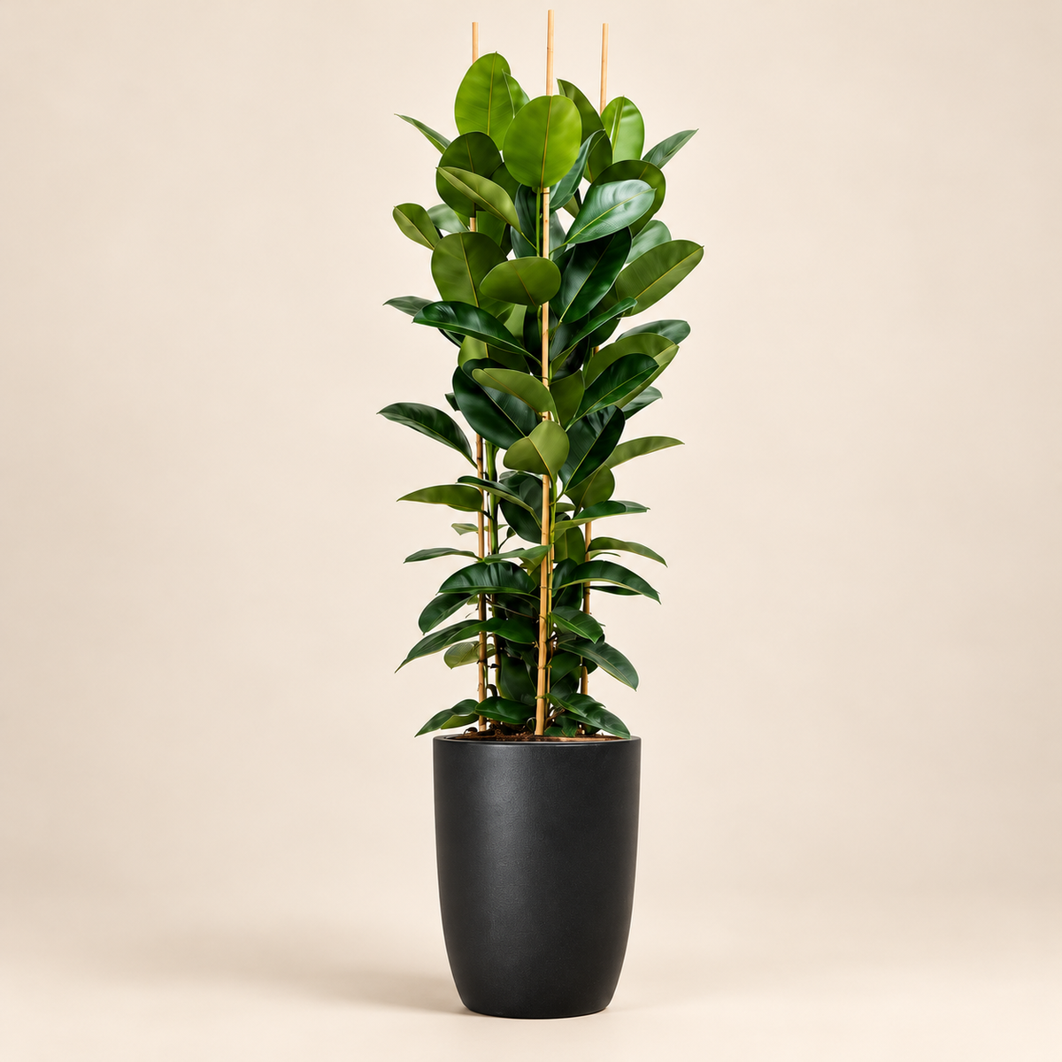 Artificial Rubber Plant
