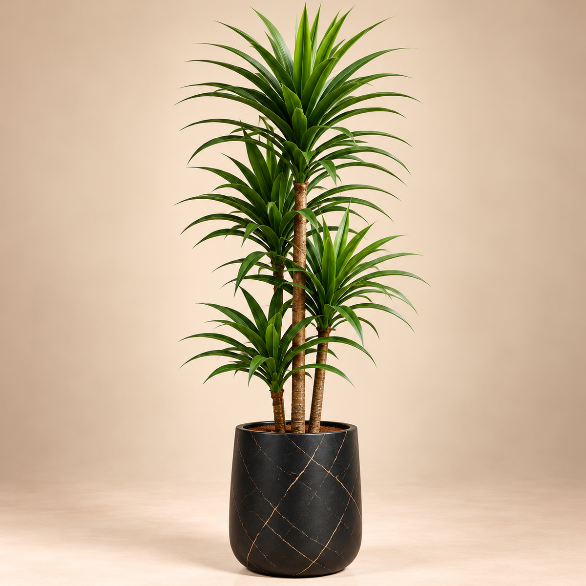 Artificial Wooden Dracaena