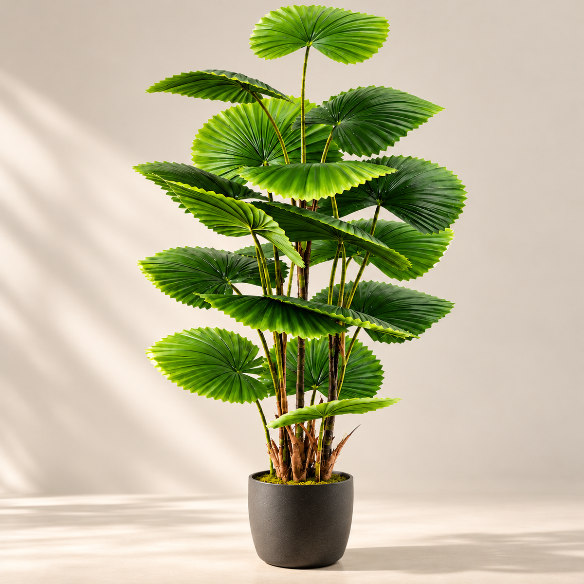 Artificial striped Fan Palm Tree