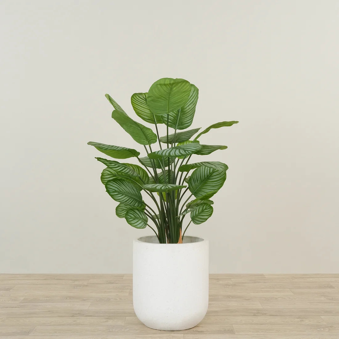 Artificial Calathea Tree
