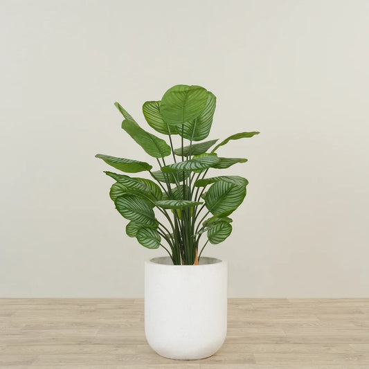Artificial Calathea Tree