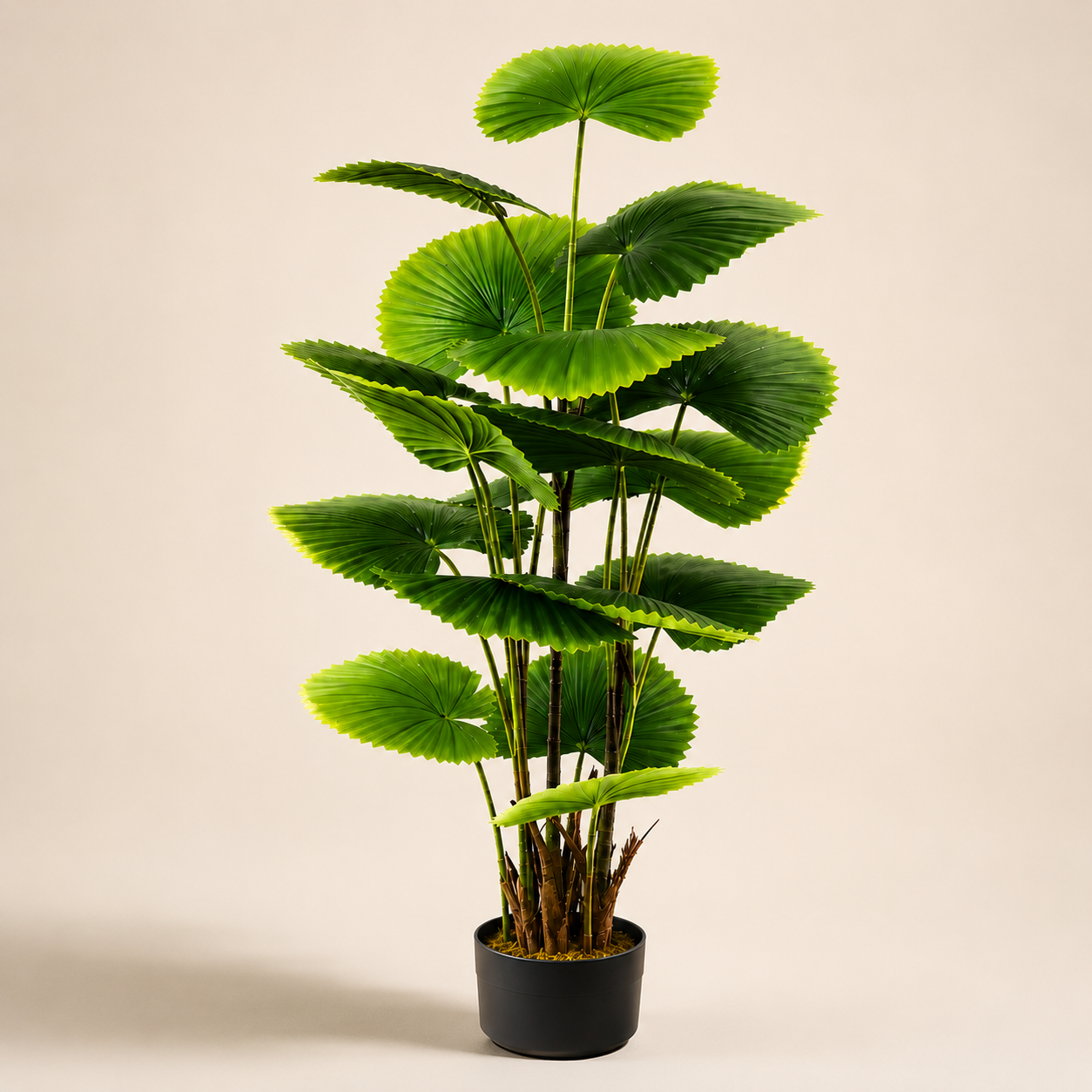 Artificial Fan Palm Plant.