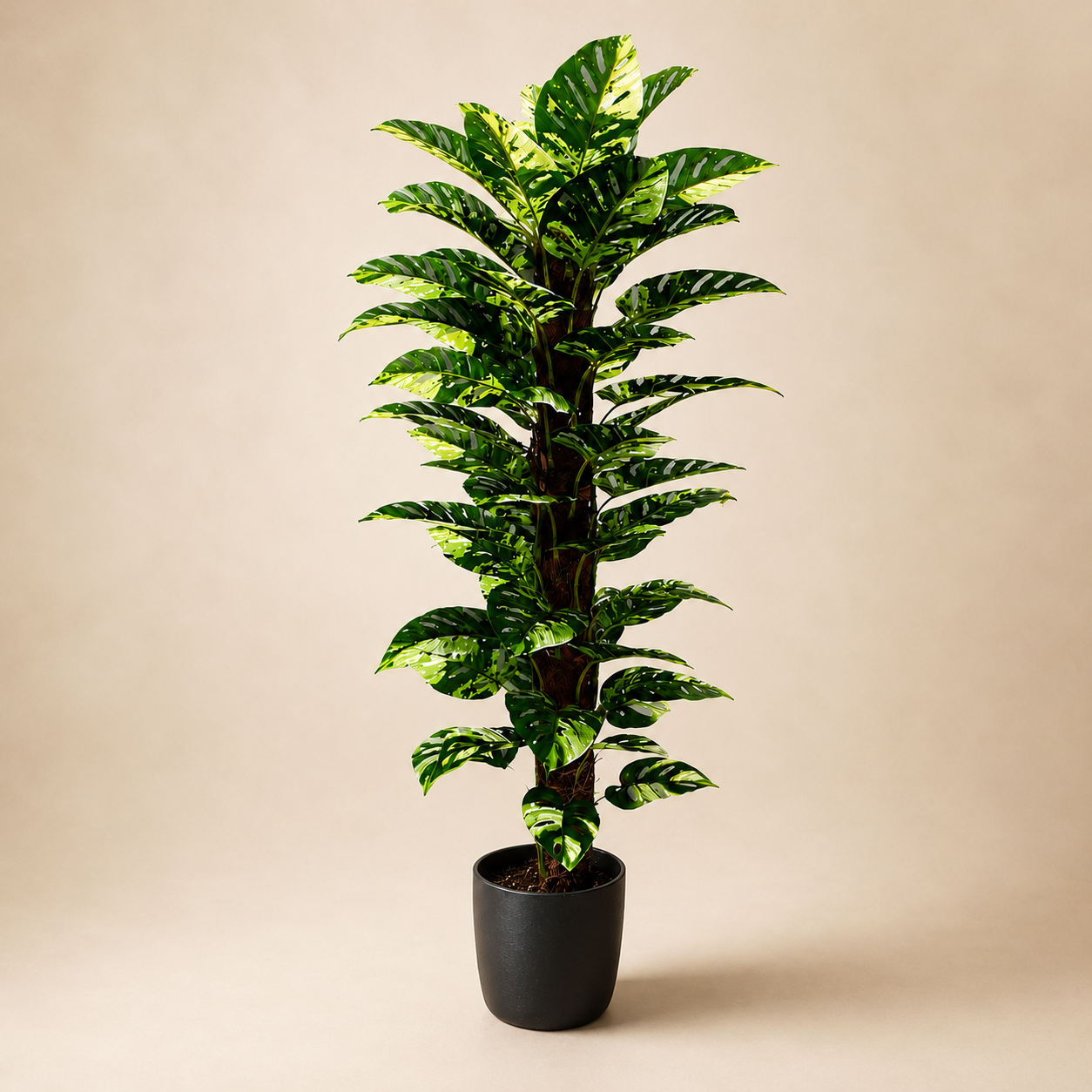 Artificial Croton plant