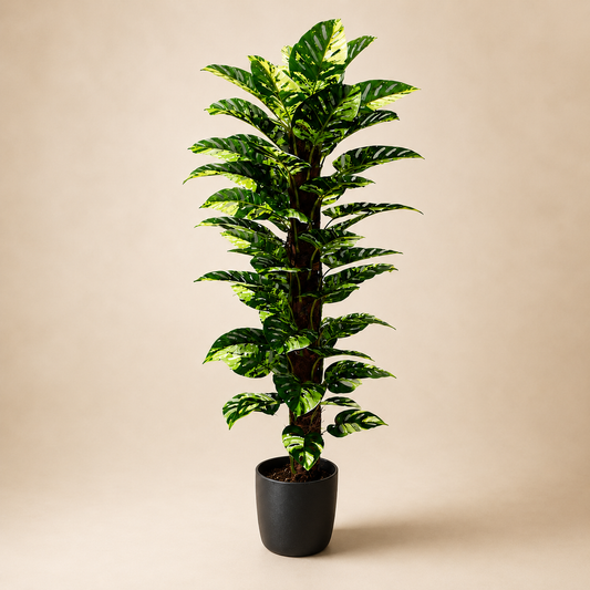 Artificial Croton plant