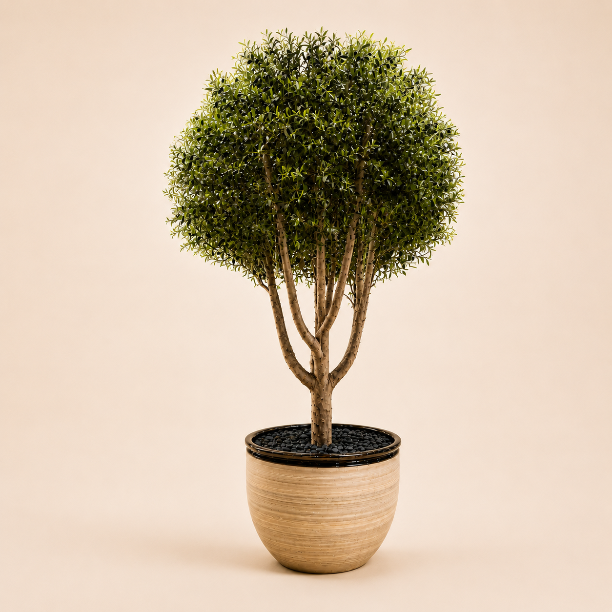 8ft Premium Artificial Olive Tree with Real Wooden Trunk | Casa Flora