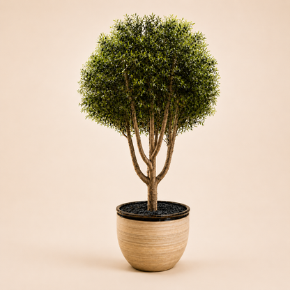 8ft Premium Artificial Olive Tree with Real Wooden Trunk | Casa Flora
