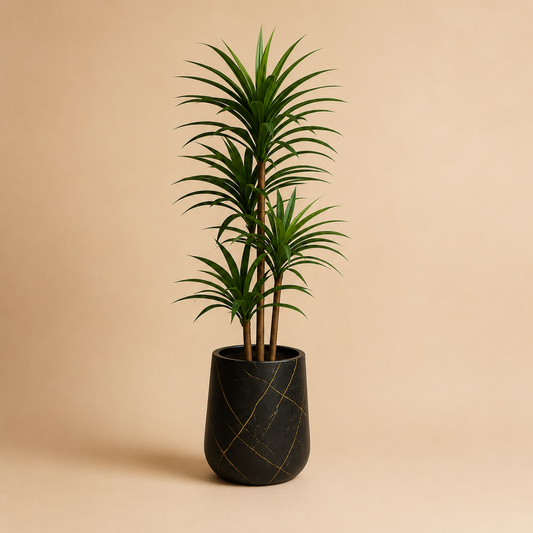 Artificial Wooden Twist Dracaena Reflexe