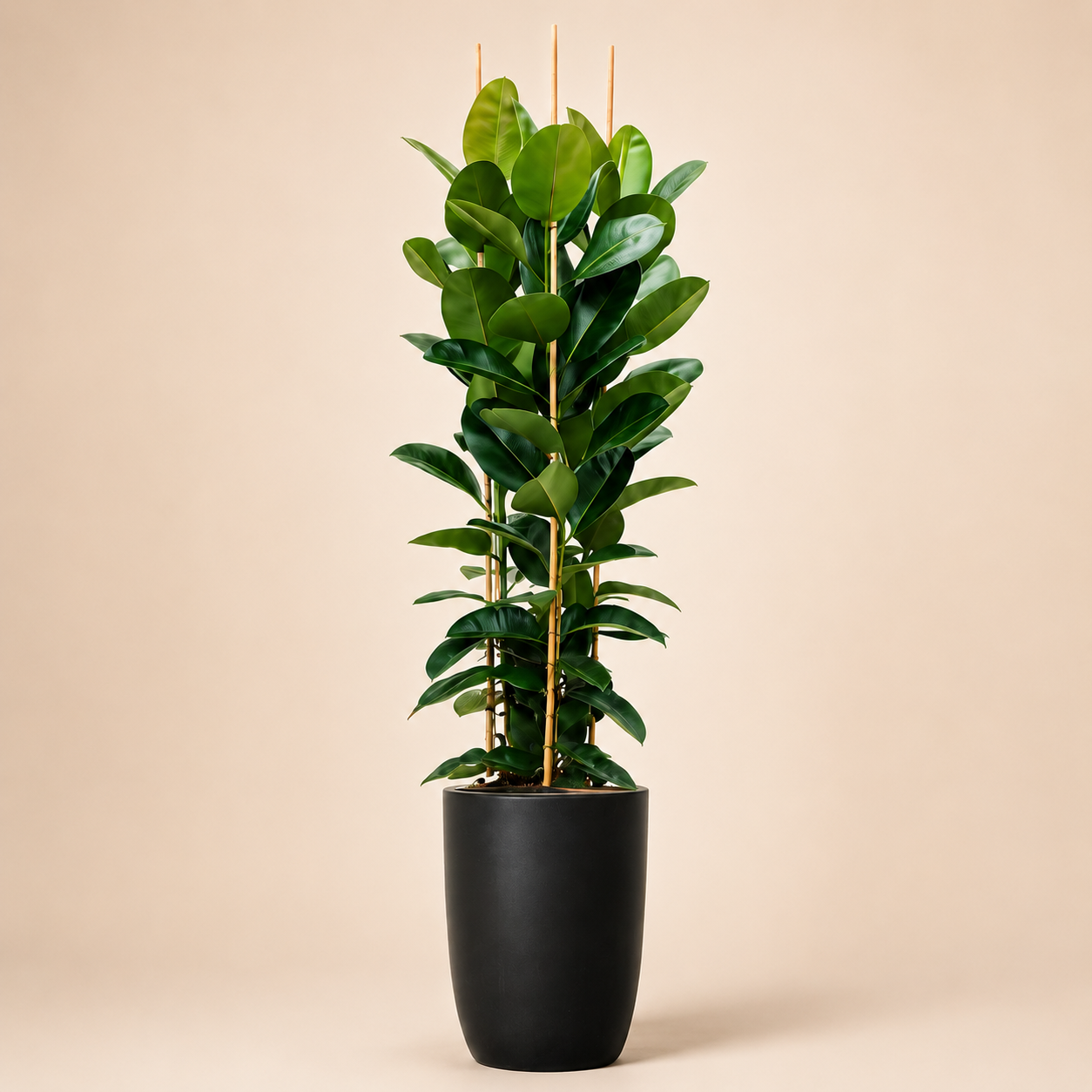 Artificial Rubber Plant