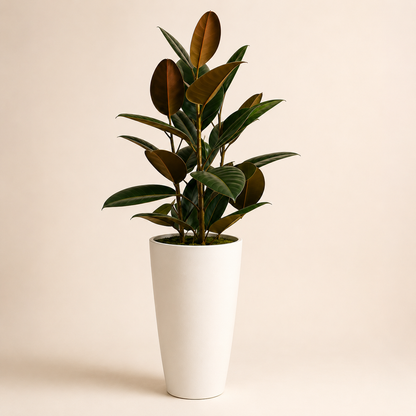Artificial Rubber Plant