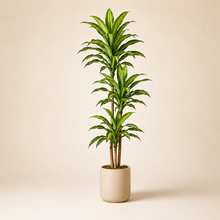 Statement Tree