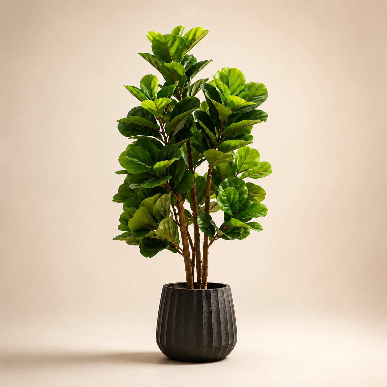 Artificial Fiddle Leaf Fig Tree