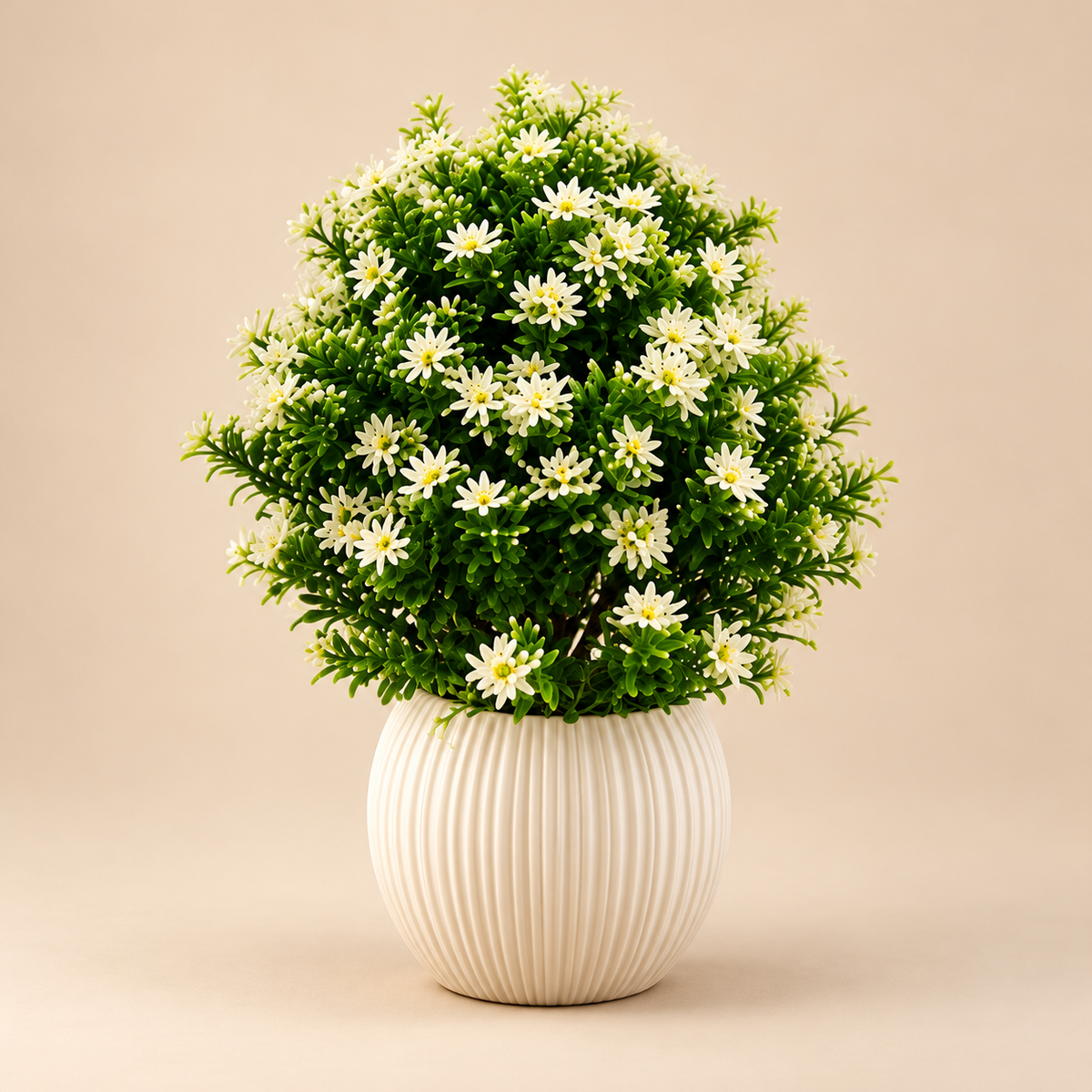 Artificial White Daisy Bush in Decorative Pot