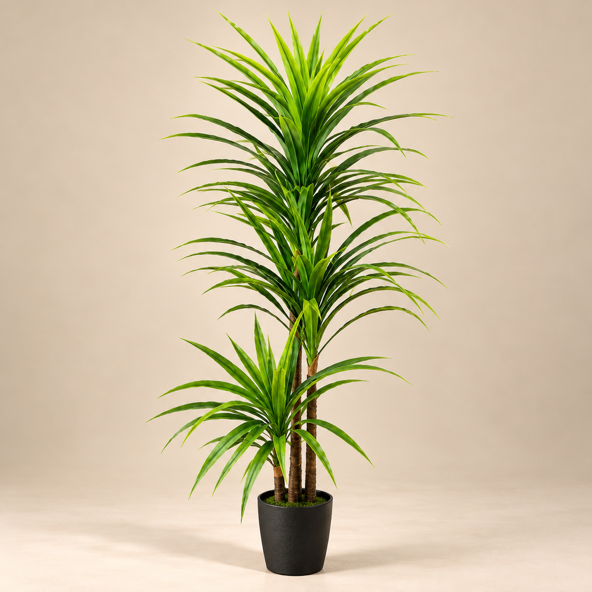 Artificial Dracaena Plant
