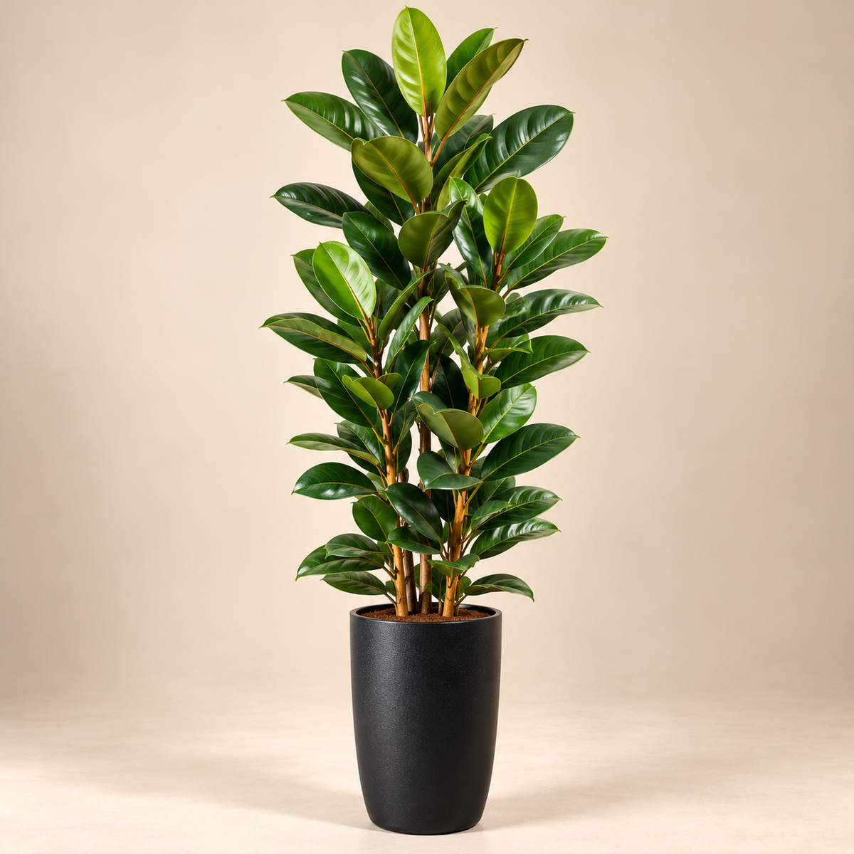 Artificial Rubber Plant